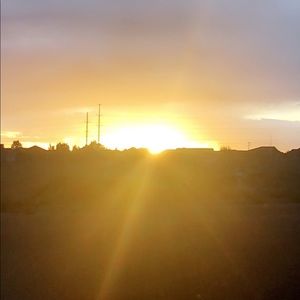 Meet your Posher, Max